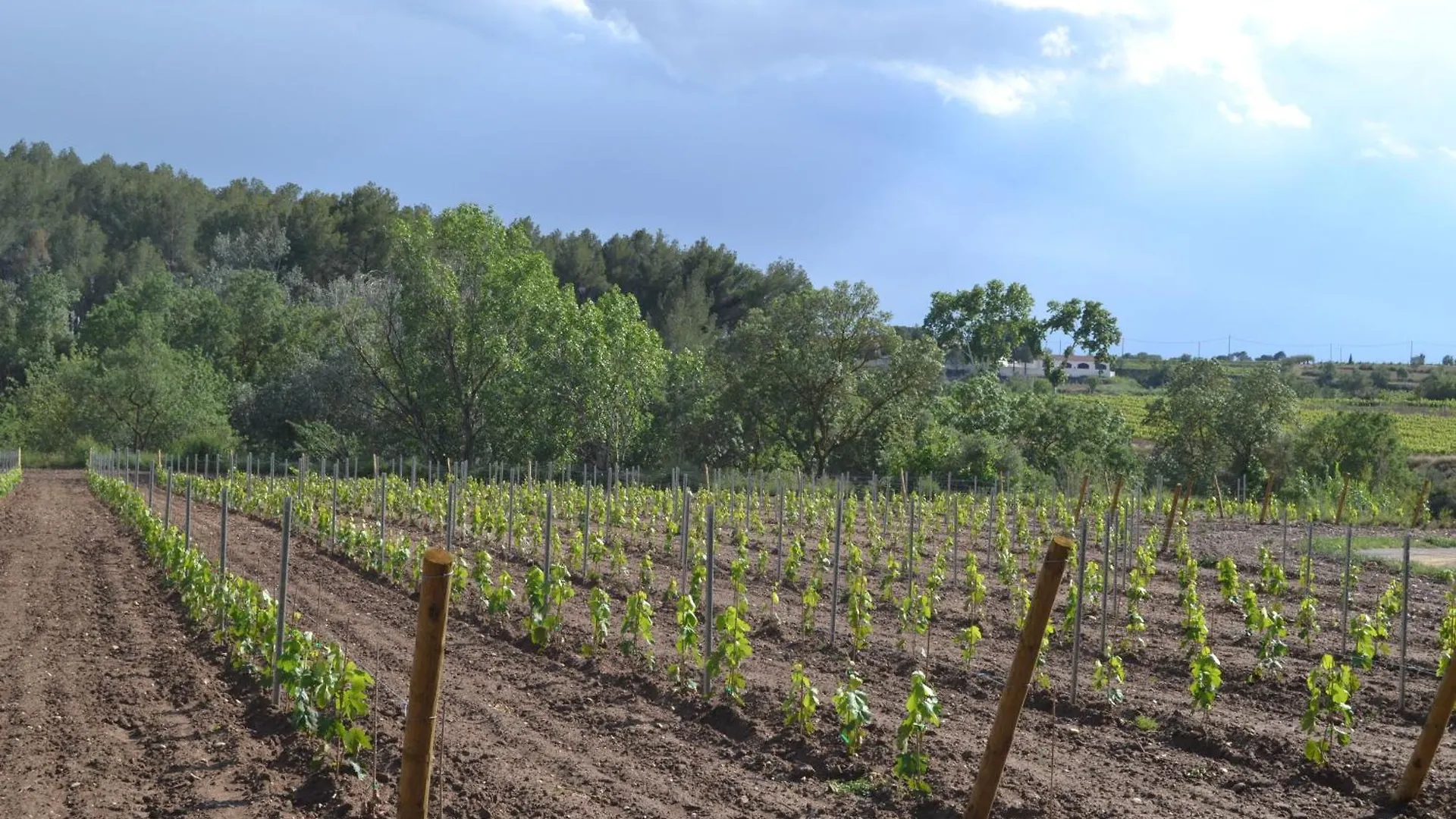 Holiday home Casa Cal Tofol Villa Font-Rubi